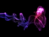 smoke_1680x1050.jpg